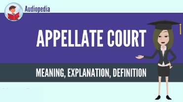 trial court definition